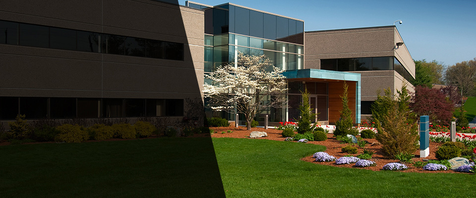 Venetia Landscapers