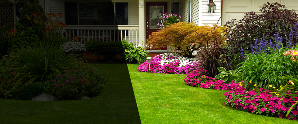Venetia Landscapers
