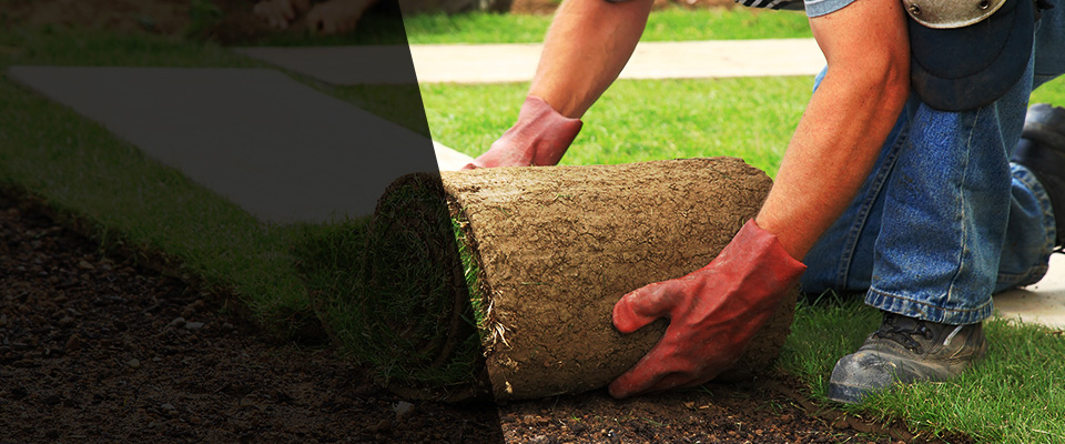 Venetia Landscapers